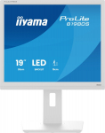 Iiyama Monitor iiyama ProLite B1980S-W1