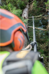 Dewalt Piła łańcuchowa Dewalt DEWALT OKRZESYWARKA NA WYŚIĘGNIKU 54V 30cm DCMPS640N 4m