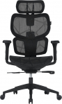 Canyon Ventra Mesh, Black