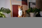 Lego IDEAS 21376 Orange Cat