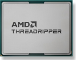 AMD Ryzen Threadripper 9960X processor 4.2 GHz 128 MB L3 Tray