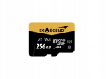 Karta Exascend Catalyst UHS-II V60 micro 256GB | EX256GUSDV60-AD | 6972904957299