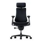 LiberNovo Omni 48 cm Ergonomic Chair (Black) | LNOmni | 6978343440378