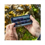 Canon PowerShot SX740 HS Lite Silver | 2956C031 | 4549292246117