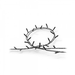 Philips Hue Festavia string lights 250 LED, 20m | 14 W | Variable | 929003674402 | 8720169246621