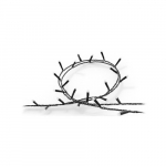 Philips Hue  Festavia string lights 500 LED, 40m | Variable | 8720169246867 | 8720169246867