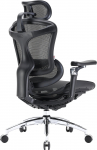 Sihoo DORO C300 Pro Mesh Black | DORO-C300-PRO-M101 | 4820216978087