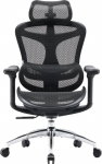Sihoo DORO C300L Mesh Black | DORO-C300L-A3-101 | 4820216978100