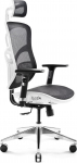 Diablo V-Basic White and Black | V-Basic Biało-czarny | 5902560334562