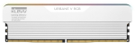 Klevv Urbane V RGB 32 GB 2 x 16 GB DDR5 6000 MT/s 288-pin DIMM (KD5AGUA80-60A300M) | KD5AGUA80-60A300M | 4895194968184