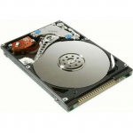 CoreParts 40GB 2,5" IDE 5400rpm | MUXMS-00033 | 5712505580608