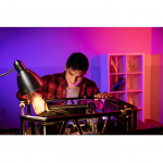 KINGSTON 32GB 5600MT/s DDR5 ECC Reg CL28 DIMM FURY Renegade Pro EXPO | KF556R28RBE2-32 | 740617342178