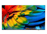 43&rdquo; Business TV, 4K UHD, Chromecast built-in, Google Play Store, DVB-C/T/T2 Tuner, HDMI, Scheduler, Auto on/off, Crestron Connected Certified v2, Neets/Extron compatible, CMND Create & Contro | 43HFL6214U/12 | 8718863030820