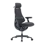 LiberNovo Omni Pro 45 cm Ergonomic Chair (Graphite) | GROC1-PRO | 6978343440491