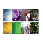 Spiraalplokk College Premium A5/80L jooneline, spiraal k&uuml;ljel