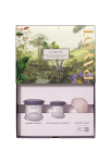 Payot komplekt: Supreme sublimeeriv vananemisvastane p&auml;evakreem n&auml;ole, 50 ml + Supreme sublimeeriv silmakreem, 15 ml + Gua Sha, heleroosa, lifting- ja n&auml;omassaažikivi
