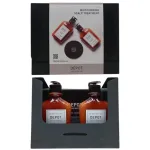 Tarbijakomplekt E Set Depot: 100 juuksepuhastusvahendit nr 103, provitamiin B5, juukse&scaron;ampoon, niisutamiseks, 250 ml + 200 juuksehooldusvahendit nr 201, botaaniline kompleks, juuksepalsam, elustamiseks, 250 ml