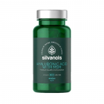 SILVANOLS H&uuml;aluroonhape MSM kapslitega N120