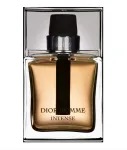 Christian Dior, Dior Homme Intense, parf&uuml;&uuml;mvesi, meestele, 100 ml