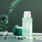 FRAIJOUR Original Herb Wormwood Cleansing Water &ndash; puhastav taimede ekstraktiga vesi - 300ml