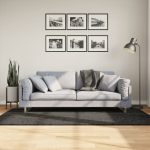Vaip "istan", k&otilde;rge narmaga, l&auml;ikiv, antratsiithall, 100x200 cm