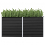 Aia taimelava antratsiithall 160 x 40 x 77 cm tsingitud teras