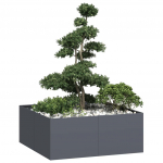 Taimekast antratsiithall 100x100x40 cm, teras
