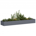 Taimekast antratsiithall 360x80x40 cm, teras