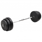 Painutatud raskuskang ketastega, 90 kg