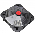 Basseini p&auml;ikesetoitel k&uuml;ttekeha