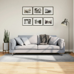 Vaip "iza", l&uuml;hikese narmaga, skandinaavialik, hall, 100x200 cm
