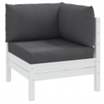 Euroaluse istmepadjad 3 tk, antratsiithall, kangas