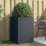 Taimekast antratsiithall 52x48x75 cm, teras