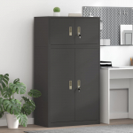 Hoiukapp 2 tk Must 80 x 40 x 145 cm Teras Lukustatav