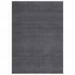 Pestav pehme vaip, 160x230 cm, libisemiskindel, antratsiit