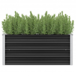 Aia taimelava antratsiithall 100 x 40 x 45 cm tsingitud teras