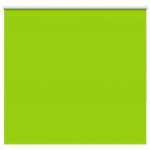 PIMENDAV RULOO LEHED ROHELISED 145X150 CM KANGA LAIUS 141,6 CM