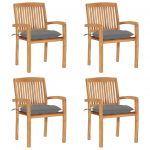 VIRNASTATAVAD PATJADEGA AIATOOLID, 4 TK, TIIKPUIT