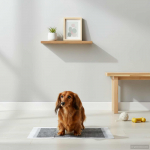 Mitte-koonduv kangas lemmiklooma treening padjake 200 tk