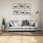 Vaip "istan", k&otilde;rge narmaga, l&auml;ikiv v&auml;limus, hall, 100x200 cm