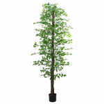 KUNSTLIK FICUS PLANT 2016 LEHED 300 CM ROHELISED