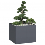 Taimekast antratsiithall 100x100x80 cm, teras
