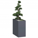 Taimekast antratsiithall 40x80x80 cm, teras
