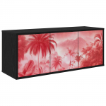 Seinale paigaldatav TV kapp AACHEN 102 x 33 x 40 cm Must tamm
