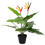 Kunstlik Strelitzia Taim Roheline 65 x 13 x 55 cm