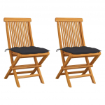 Aiatoolid antratsiithallide istmepatjadega, 2 tk, tiikpuu