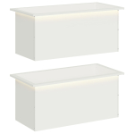 LED-valgustusega lillekast 2 tk valge 40 x 80 x 40 cm teras