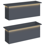 LED-valgustusega lillekast 2 tk antriit 30 x 100 x 30 cm teras