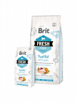 Brit Fresh Fish with Pumpkin Adult Large kuivtoit suurele koerale kala ja k&otilde;rvitsaga, 2,5 kg