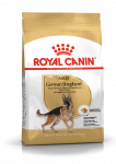 Royal Canin German Shepherd kuivtoit saksa lambakoertele, 11 kg